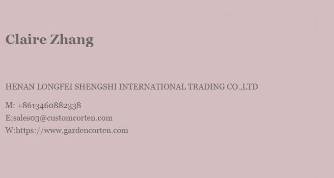 Suspended wood burning fireplace indoor steel custom black paint decorative 26