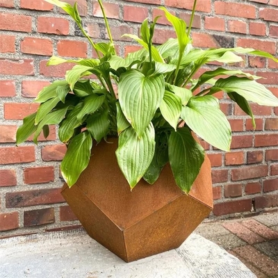 Outdoor Garden Metal Planter Boxes Corten Steel Pentagonal Flowers Planters