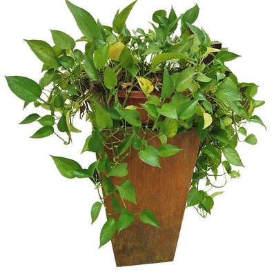 Outside Garden Metal Flower Pot Rusty Corten Steel Tapered Planter Box