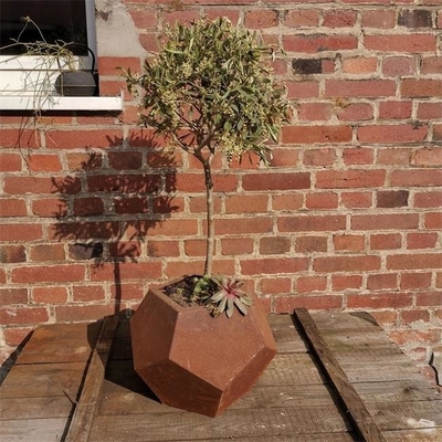 Outdoor Garden Metal Planter Boxes Corten Steel Pentagonal Flowers Planters